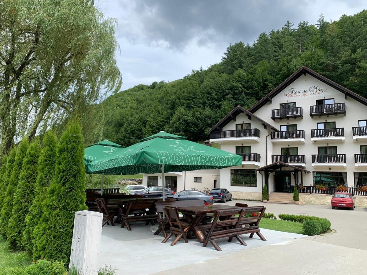 Flori De Mar Hotel Poiana Mărului Buitenkant foto
