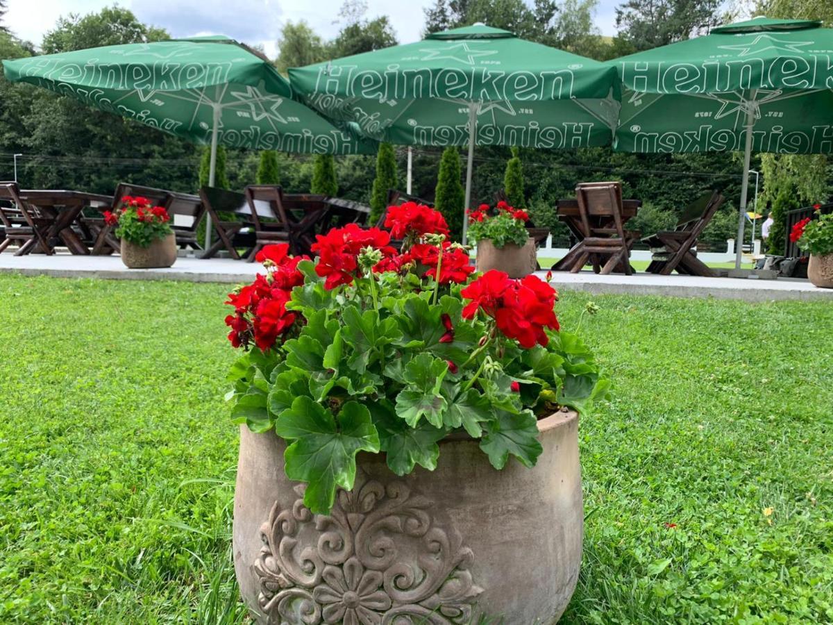 Flori De Mar Hotel Poiana Mărului Buitenkant foto