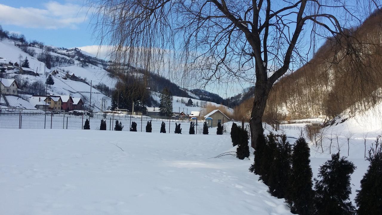 Flori De Mar Hotel Poiana Mărului Buitenkant foto