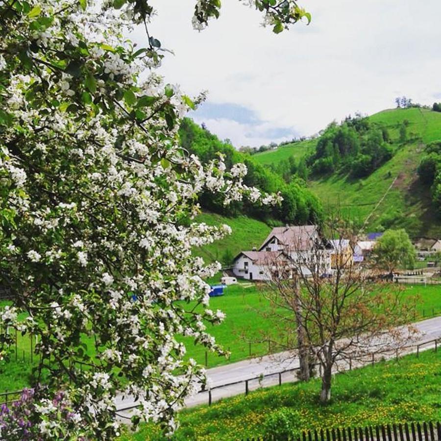 Flori De Mar Hotel Poiana Mărului Buitenkant foto