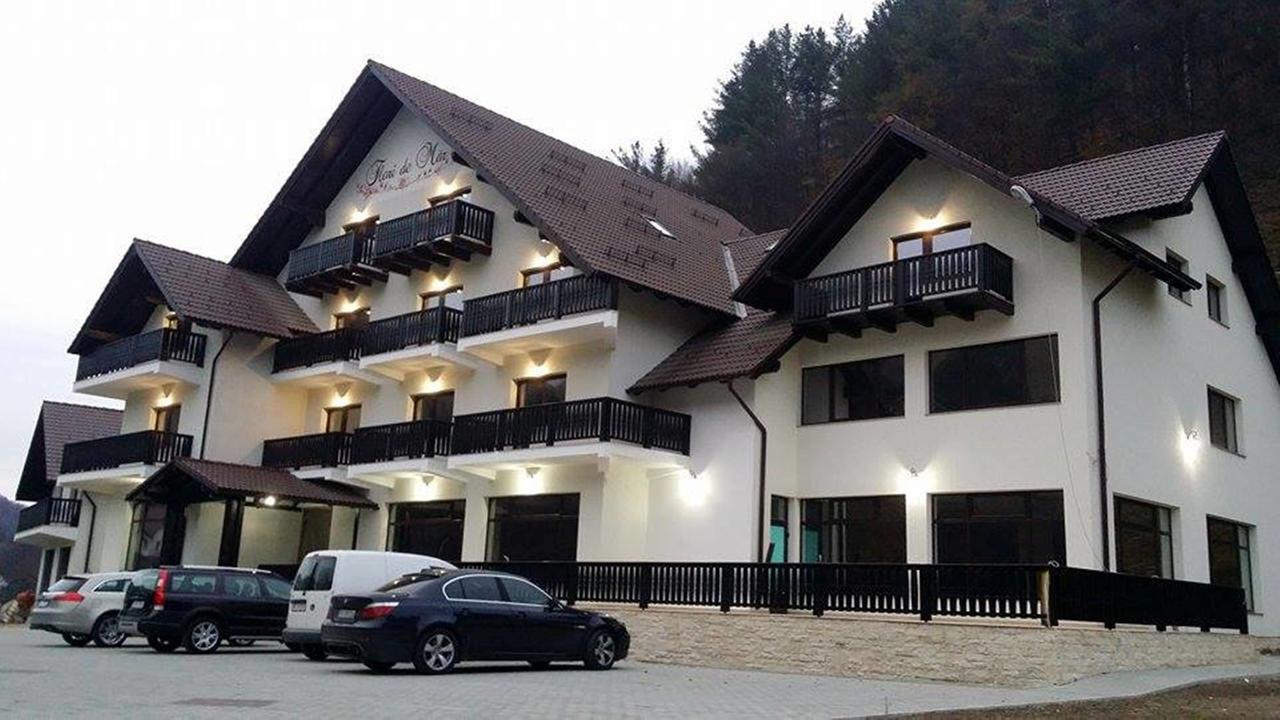 Flori De Mar Hotel Poiana Mărului Buitenkant foto