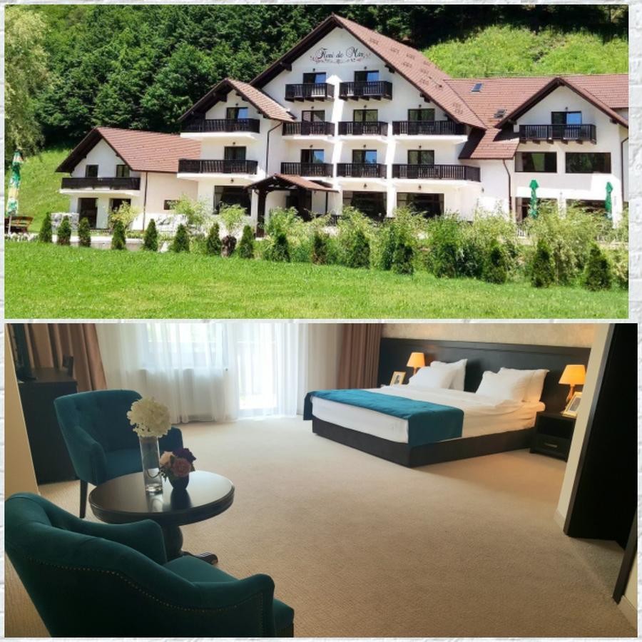 Flori De Mar Hotel Poiana Mărului Buitenkant foto